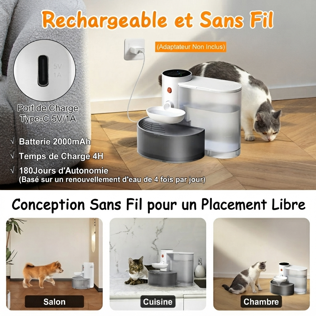 Fontaine à Eau Sans Fil pour Chat — Sans Filtre — Source Féline