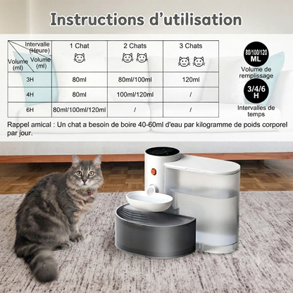 Fontaine à Eau Sans Fil pour Chat — Sans Filtre — Source Féline