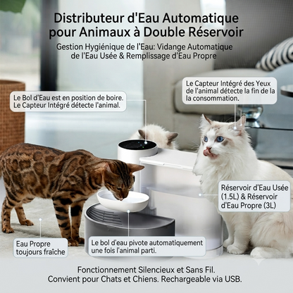 Fontaine à Eau Sans Fil pour Chat — Sans Filtre — Source Féline